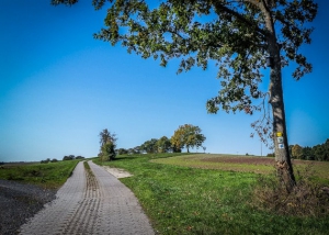 Der Weg hoch über dem Maintal