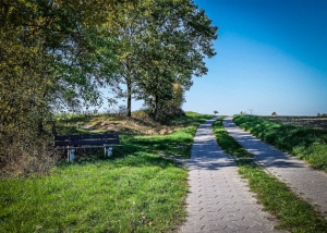 Breiter gepflasterter Weg