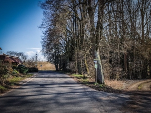 Auf dem geteerten Weg entlang