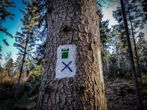 Wegweiser Grüner Turm blaues Kreuz