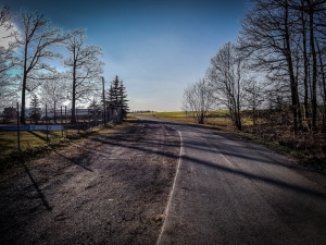 Weg aus dem Wald hinaus