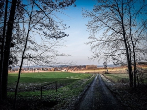 Weg aus dem Wald hinaus