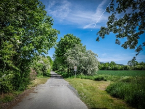 Ein ruhiger idyllischer Weg beginnt