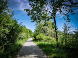 Ruhige ebene Weg-Etappe