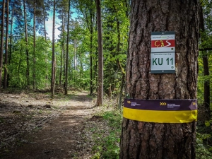 Band-Wegweiser an Baum