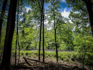 Weg parallel zur Bahntrasse im Wald