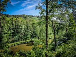 Blick hinab auf einige Weiher