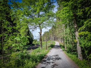 Weiter auf dem Schotterweg