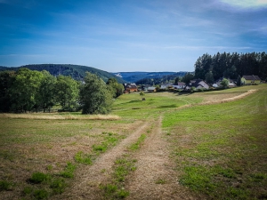 Wiesenweg nach Lauenstein