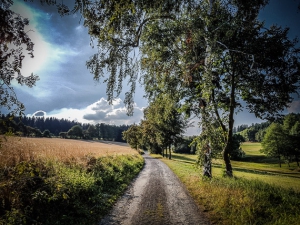 Weg zwischen den Wiesen und Feldern