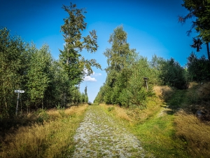 Fast ganz oben auf dem Ratzenberg