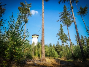 Thüringer Warte im Wald