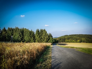 Weg über Hochebene oberhalb von Lauenstein