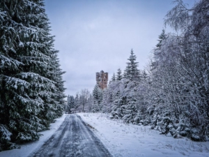 Rückweg in Richtung Altvaterturm