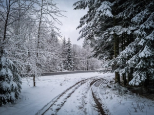 Weg an der Landstraße