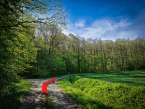 Erste Abbiegung links liegen lassen