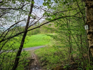 Wieder am Waldrand nach rechts oben