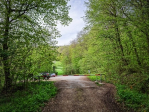 Zurück am Wanderparkplatz