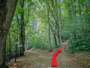 An nächster, langgezogener Kreuzung dem Wegweiser zum Schlossberg nach rechts oben folgen