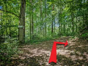 An deutlicher Rechtskurve (mit Wegweiser) hoch auf den Schlossberg