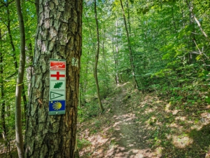 Schöner Wanderweg am Berghang entlang mit einer ganzen Palette an Wegweisern