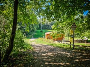 Der Wald öffnet sich und Sie kommen an einer Hütte vorbei
