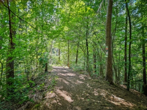 Wanderweg auf dem Bergrücken
