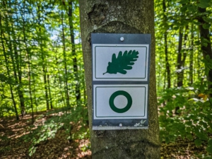 Ab jetzt: Wegweiser mit grünem Kreis und grünem Blatt