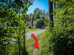 Überquerung einer Landstraße