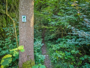 Wanderpfad steigt deutlich bergan