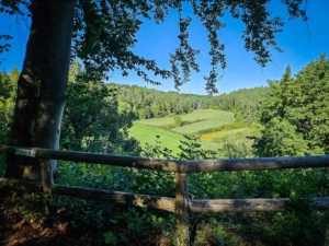 Ausblick vom Dianafelsen, dem zweiten Highlight der HINTERINDIEN.DE-Tour am Schlossberg bei Pegnitz