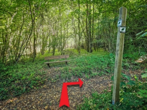 Auf breiterem Weg nach rechts oben in den Wald abbiegen