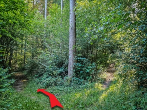 An nächster entscheidender Gabelung nach links