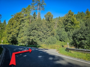 Die Landstraße vorsichtig überqueren wegen Kurve