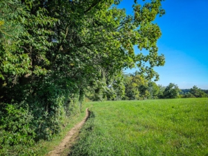Schmaler Pfad am nächsten Waldrand entlang