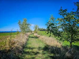 Schöner Weg über den Höhenrücken hinweg