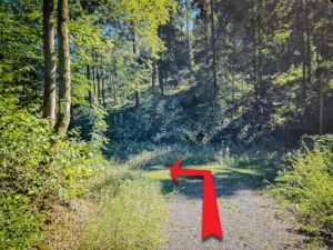 Unten im Talgrund nach links abbiegen