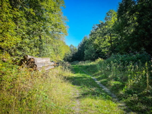 Weg durch eine kurze offene Freifläche