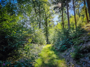 Deutlicherer Anstieg nach der großen Rechtskurve