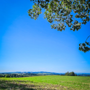 tour-123-galerie-presseck-142401