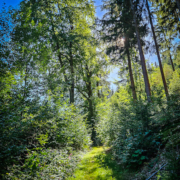 tour-123-galerie-presseck-152626