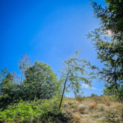 tour-123-galerie-presseck-153826