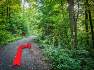 Erneut auf Pfad vom Weg nach rechts unten abbiegen