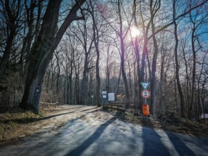 Abbiegen hoch in den Wald