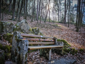 Sitzbänke am Weg