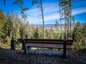 Blick auf Sonneberg