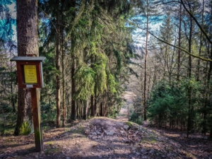 Ehemalige Ski Sprungschanze am Muppberg