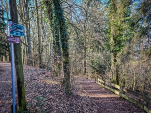 Wanderweg bergab