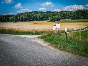 Wieder außerhalb von Entmersberg