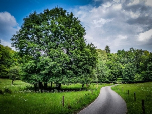 Auf geteertem Weg bergauf